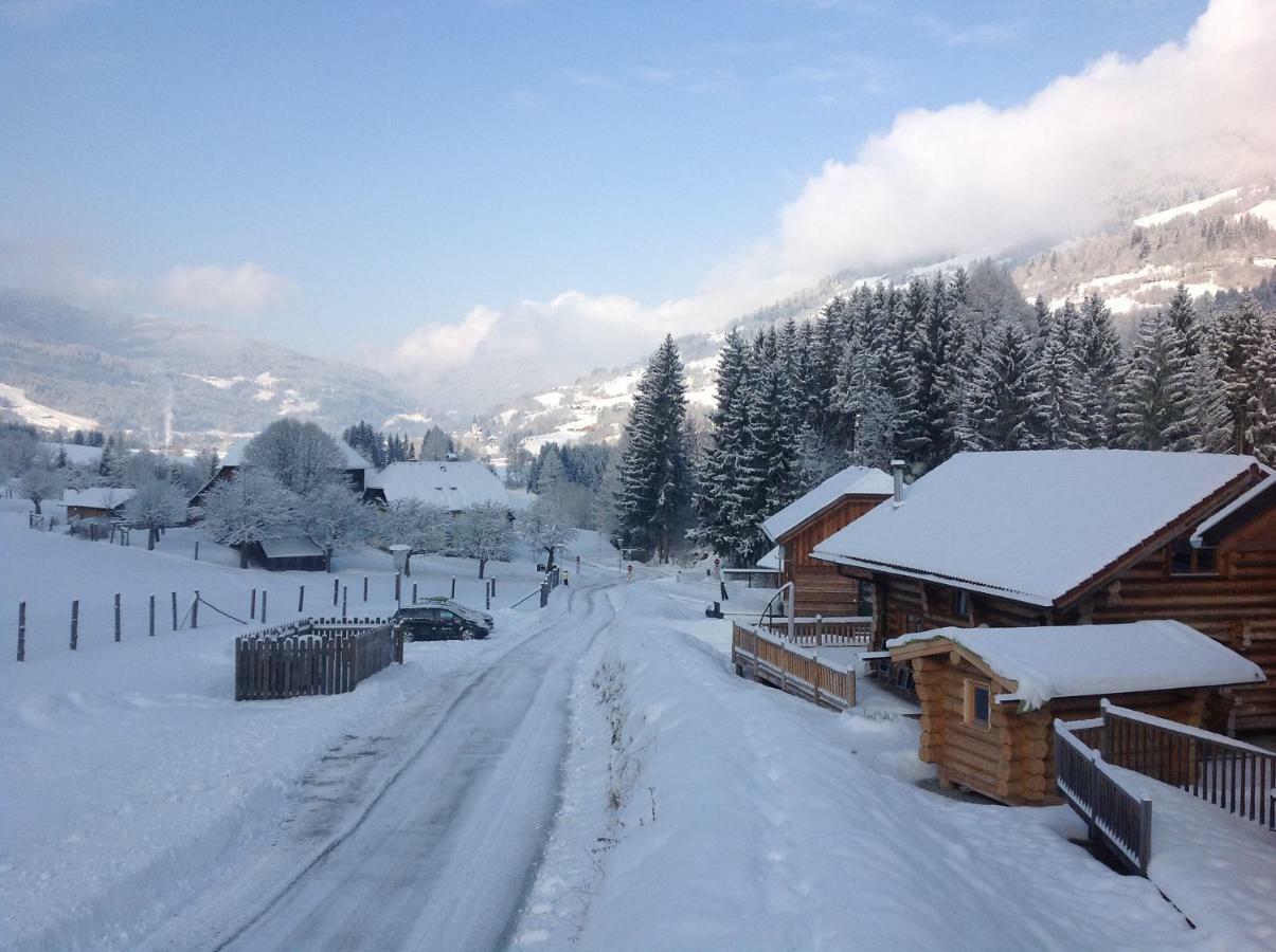 Woody Park Chalet 14 Kaindorf  Екстер'єр фото