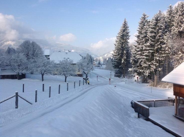 Woody Park Chalet 14 Kaindorf  Екстер'єр фото