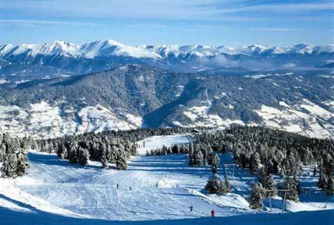 Woody Park Chalet 14 Kaindorf  Екстер'єр фото